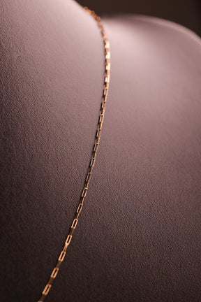 Escapulário Cartier Dupla Face em Ouro 18K – Joia Premium
